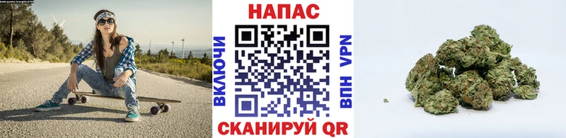 дарнет шоп  Курск  Бошки Шишки план 
